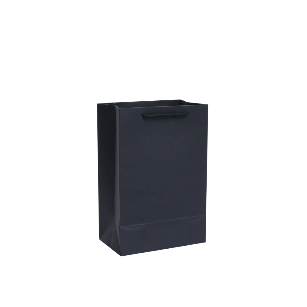 GoPlayer紙質禮品袋